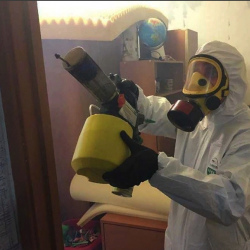 Уничтожение клопов в квартире. Колюбакино